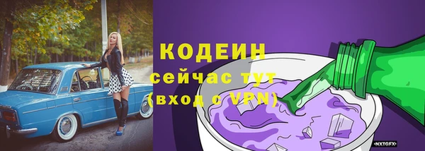 твердый Козельск