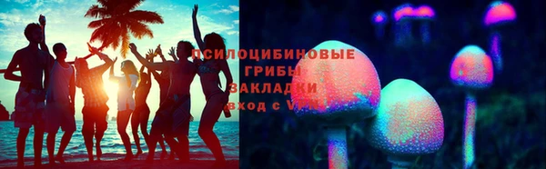 прущие грибы Козловка