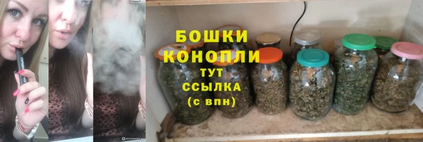 индика Кодинск