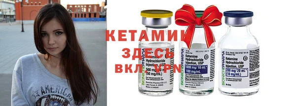 твердый Козельск