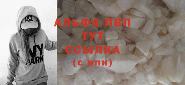 прущие грибы Козловка