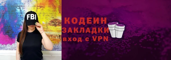 твердый Козельск