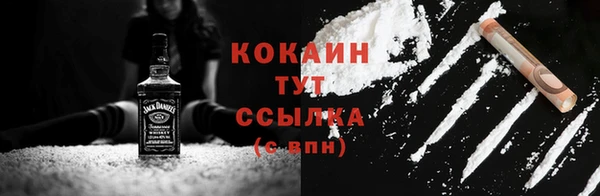 твердый Козельск