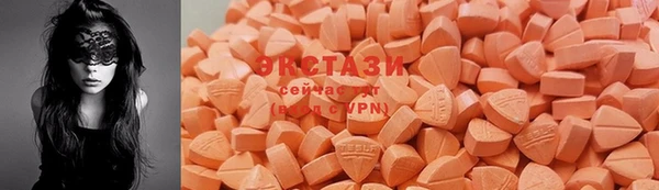 индика Кодинск