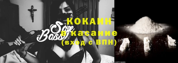 индика Кодинск