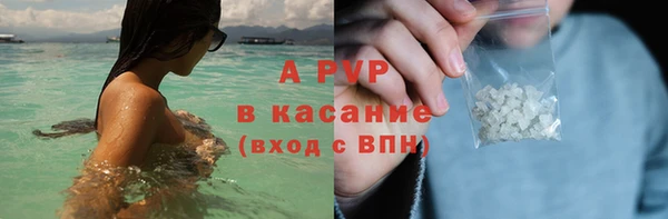 прущие грибы Козловка