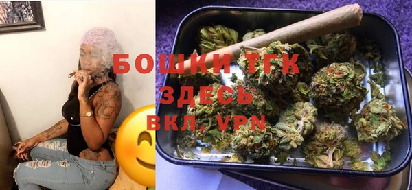 твердый Козельск