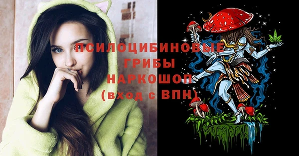 твердый Козельск