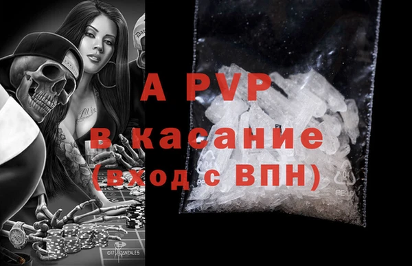 твердый Козельск