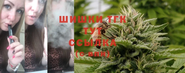 индика Кодинск
