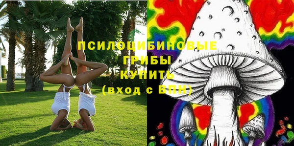 твердый Козельск