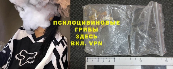 твердый Козельск