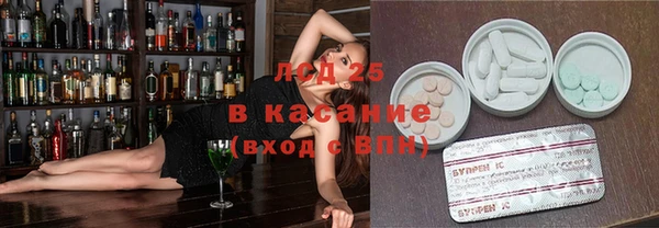 прущие грибы Козловка