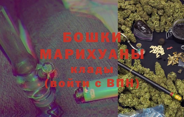 прущие грибы Козловка