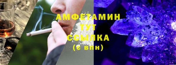 твердый Козельск