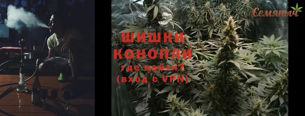 прущие грибы Козловка