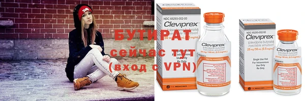 прущие грибы Козловка