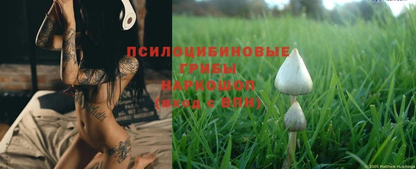 прущие грибы Козловка