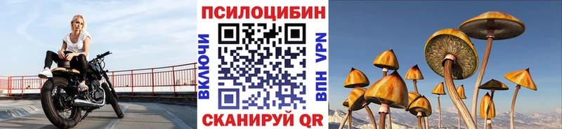 Галлюциногенные грибы прущие грибы  Купить где  Долгопрудный 