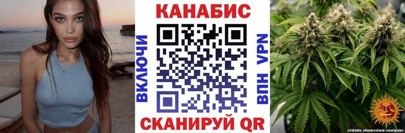 Купить где Долгопрудный Марихуана OG Kush